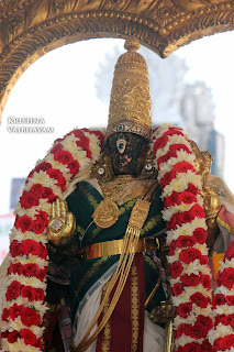 Sri Parthasarathy Perumal, Dhavana Utsavam, Thirumanjanam, Purappadu,  Triplicane,  Purappadu, Thiruvallikeni, Utsavam, 