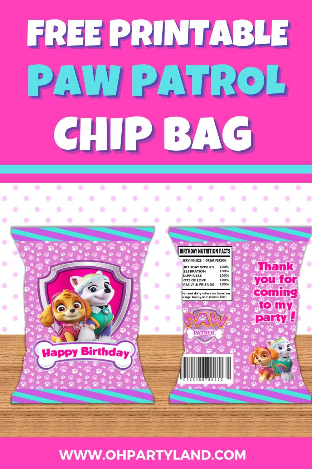 paw patrol chip bag