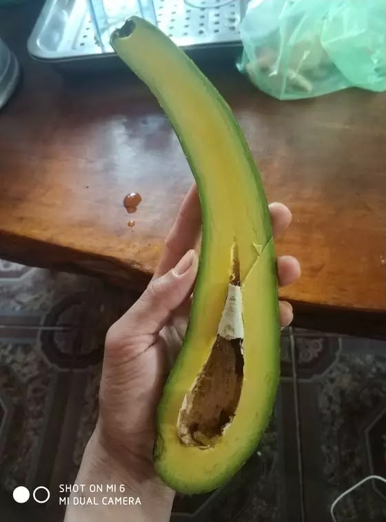 Bán bơ 034
