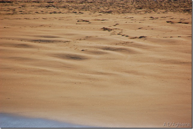 Ondas en la arena.