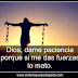 Dios dame paciencia porque si me das fuerzas lo mato