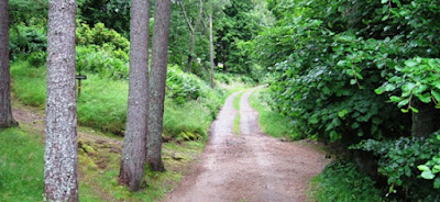 Ballater walks, approaching Craig Vallich