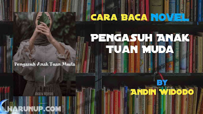 Novel Pengasuh Anak Tuan Muda Karya Andin Widodo Full Episode