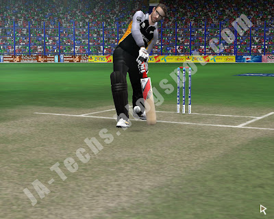 Remove Helmet of Batsmen in EA Cricket 07 - Ingame Screenshot 5