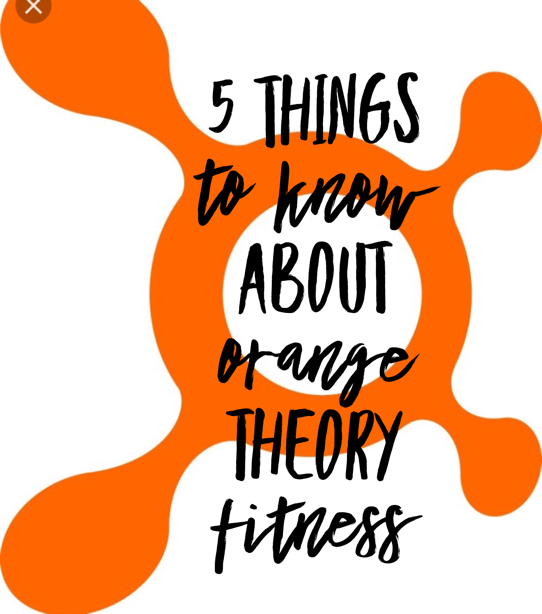 Live Free and Run: 5 Things to Know About Orange Theory Fitness!
