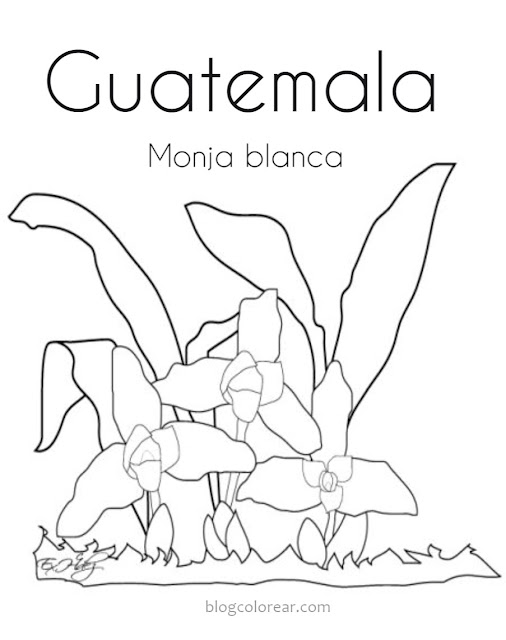 dibujos de Monja blanca Guatemala para colorear  