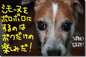 今日カズ１００７２７　３