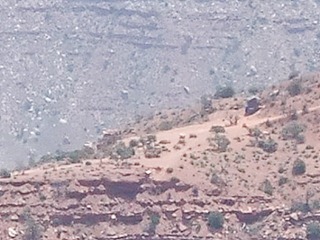 029dev-DSCF0667