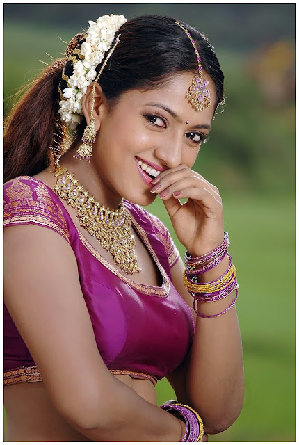 Sexy Model And Actress Sheela Hot Picture,Sexy Tamil Telugu Girl Photo