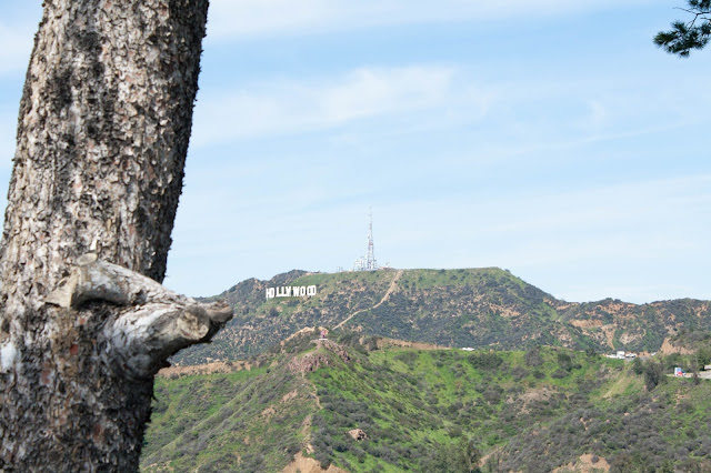 hollywood sign