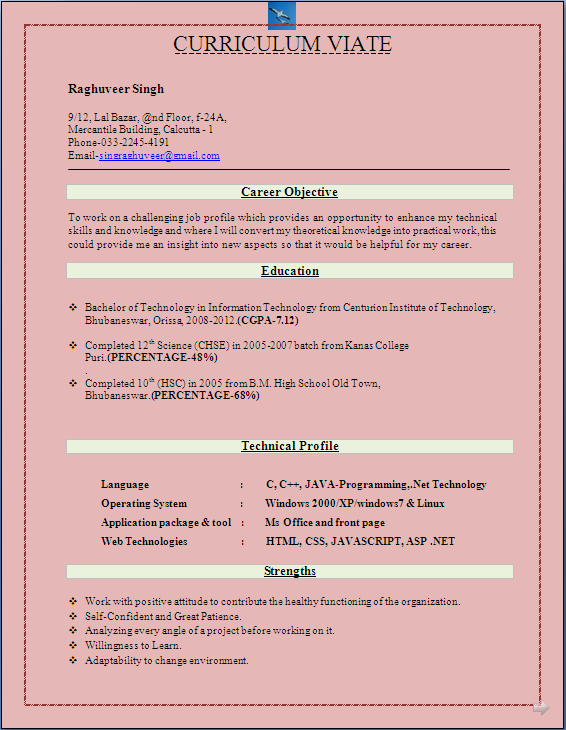 RESUME BLOG CO: Best Resume Format for B.Tech IT Freshers ...