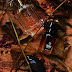 3 Amazing Autumn Scents Worth Trying 