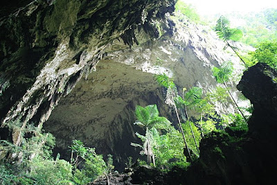 For you caving lovers, you need to try caving at Deer Cave, Sarawak, Malaysia