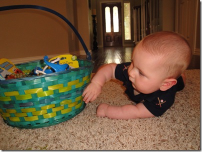 14.  Knox and basket
