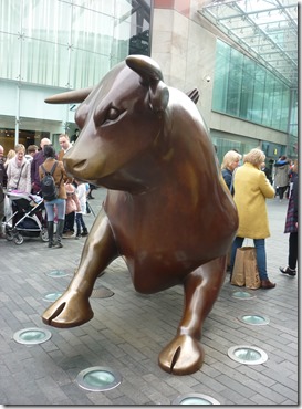 bull at bullring