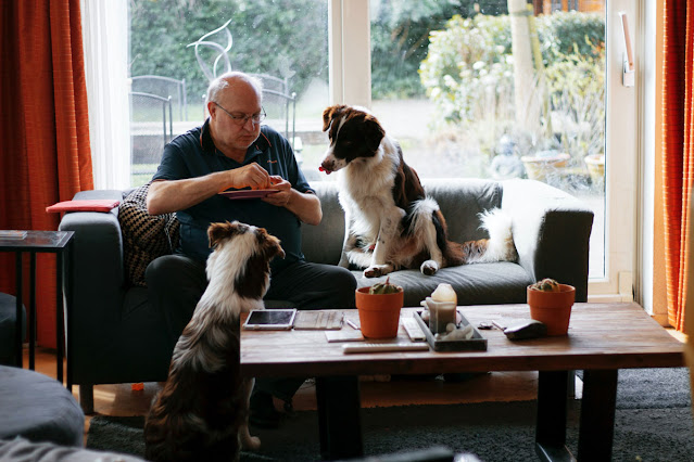 Pease porridge hot: What nursery rhymes tell us about dogs wanting food, like these two dogs watching a man eat from a plate