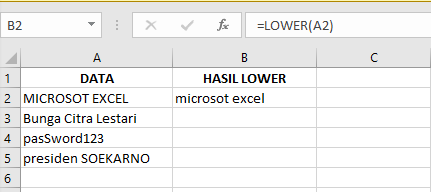 Cara Memasukkan Fungsi LOWER pada Microsoft Excel