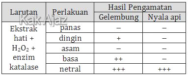 Tabel pengamatan percobaan enzim katalase, soal Biologi SMA UN 2014 No. 24