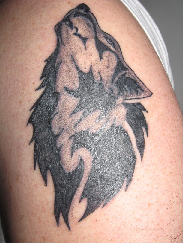 wolf tattoo tribal. Tribal Wolf Tattoos Wolf Tattoos - Tribal. There are many tribal variations 