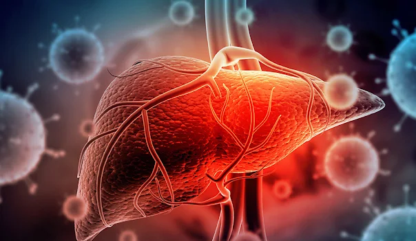 Six (6) Common Lifestyles That Damage The Liver