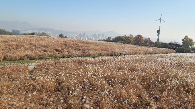 Things To Do In Seoul : Haneul Park, Seoul