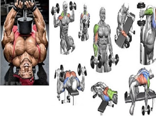 Best Dumbbell Workout Routines