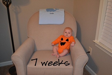week 7