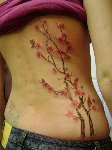 tattoo cherry blossom. tattoo cherry blossom.