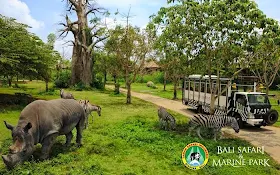 Bali Safari and Marine Park