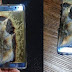 هاتف غالاكسي نوت 7 الجديد يحترق على أيدي المستخدمين لهذا السبب وسامسونغ توقف المبيعات 