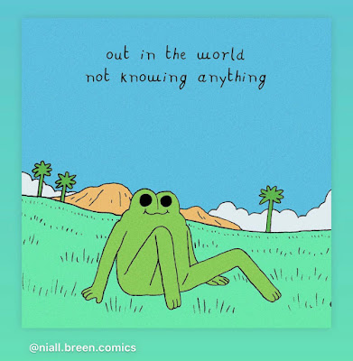 Ilustração de um sapinho sentado. Está escrito "out in the world not knowing anything"