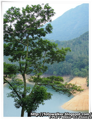 城門水塘