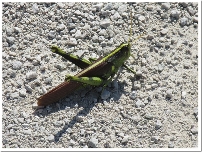 2018-09-17c Kansas, Marysville - Blue River Rail Trail (121)