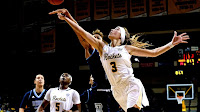 Tennessee Lady Volunteers basketball