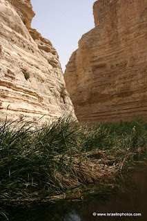 Parque Nacional de Ein Avdat en el desierto Negev