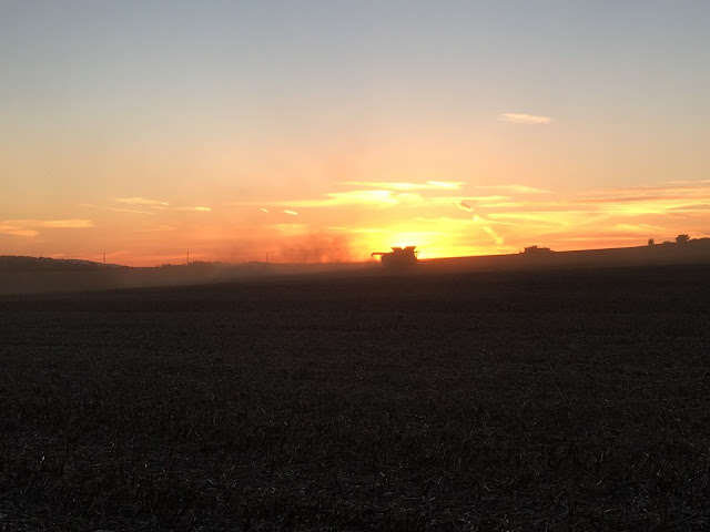 combine harvester at sunset UK #mysundayphoto 