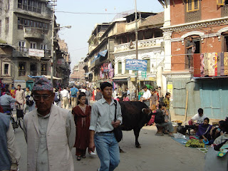 LACN - voyage - nepal