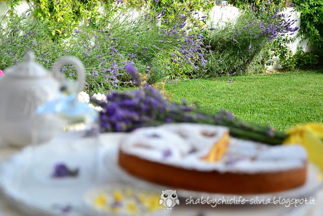 lavanda e colazione