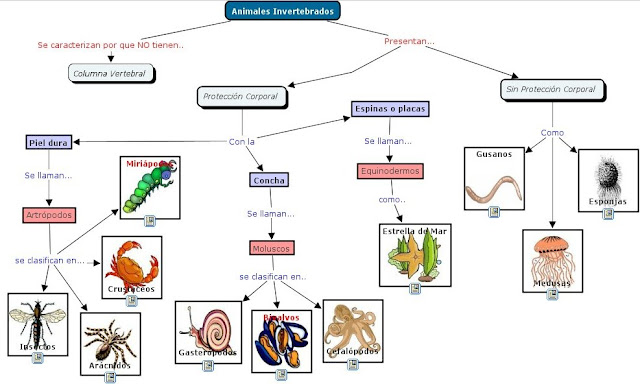 Resultado de imagen para ejemplo de mapa conceptual en cmaptools