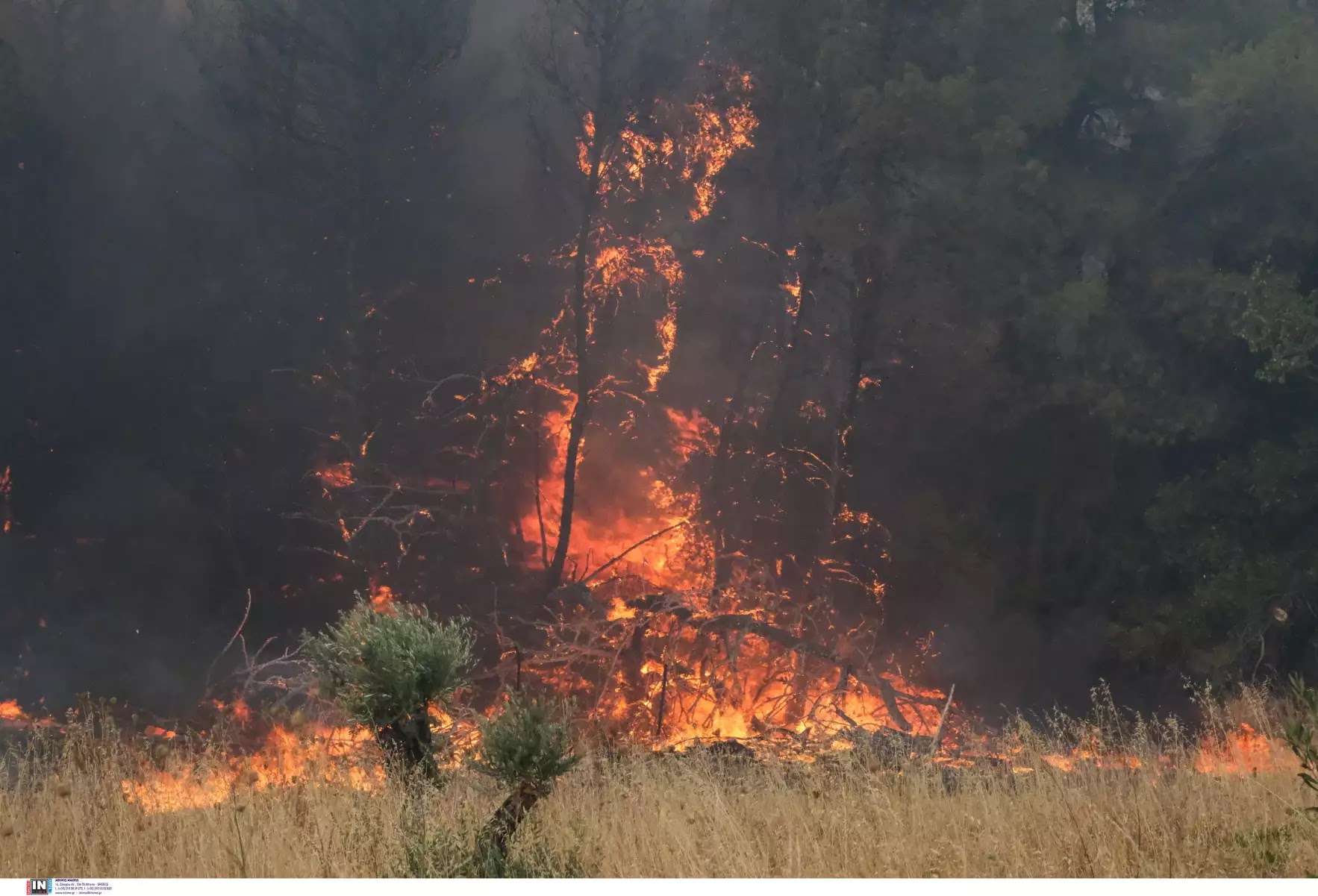 Προσοχή: Παραμένει υψηλός ο κίνδυνος πυρκαγιάς στην Ξάνθη