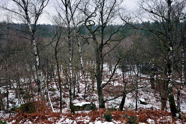 La Gorge aux Loups, forêt de Fontainebleau.