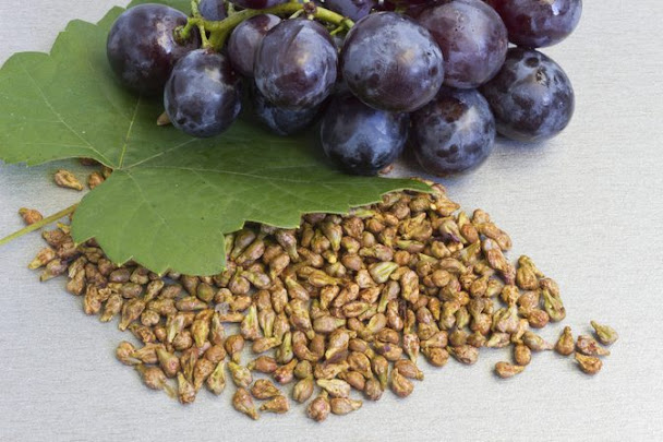 grapes-seed