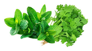 lose belly fat with Mint Home Remodies