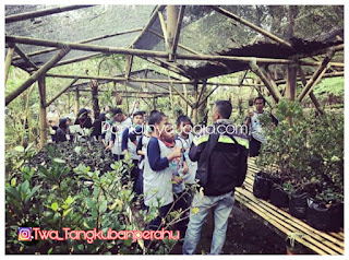 wisata gunung tangkuban perahu