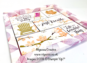 Shadow Frame Box Sampler Using Stampin' Up!® Natures Poem & Colourful Seasons Nigezza Creates