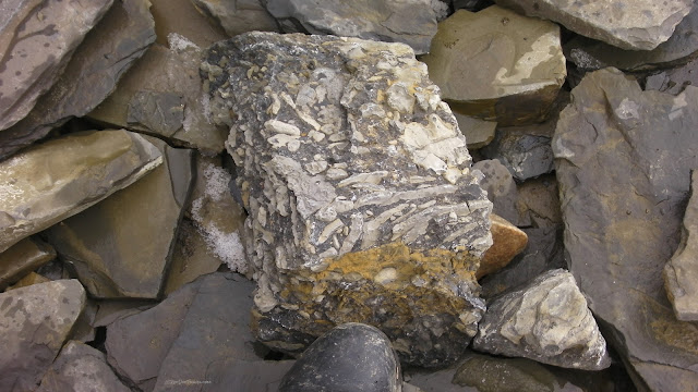 Burgess shale yoho national park british columbia canada geology travel trip fossils hike mountains rockies copyright rocdoctravel.com