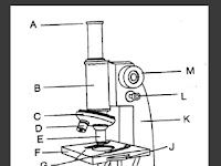Bagian - bagian pada Mikroskop Beserta Fungsinya