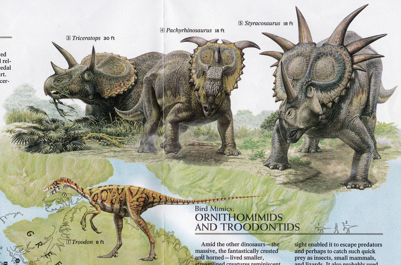 Love in the Time of Chasmosaurs: Vintage Dinosaur Art: Dinosaurs, National  Geographic, January 1993 - Free poster bonus!