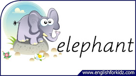 elephant flashcard