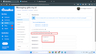 name server penyedia domain